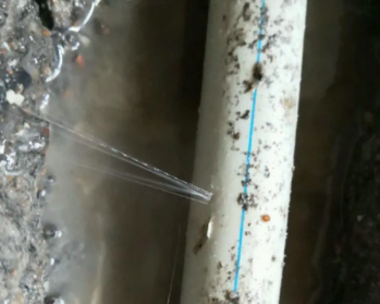 额尔古纳卫生间测漏水多少钱