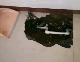 额尔古纳卫生间测漏水多少钱
